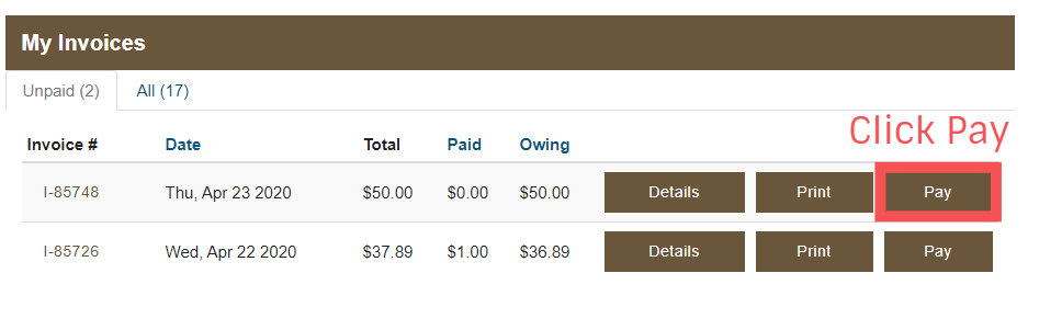 This image shows all current invoices.To pay a invoice click the pay button.