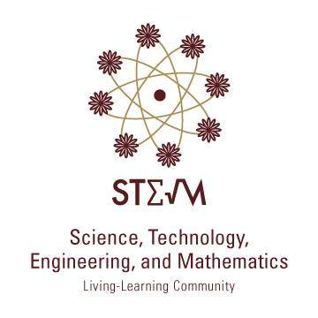 STEM LLC