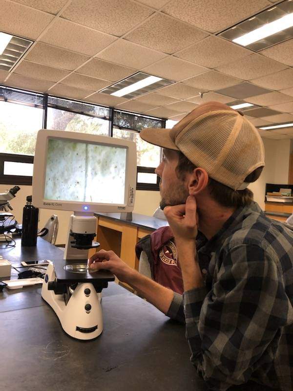 Person in hat looking at microscope digital screen in lab