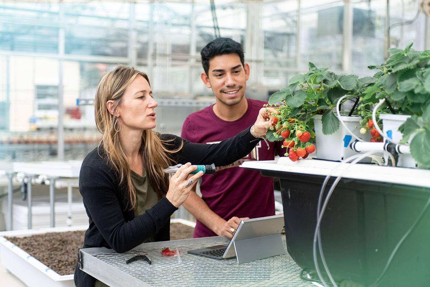 Student working with professor in a botany lab studying a fruit giving flower. 