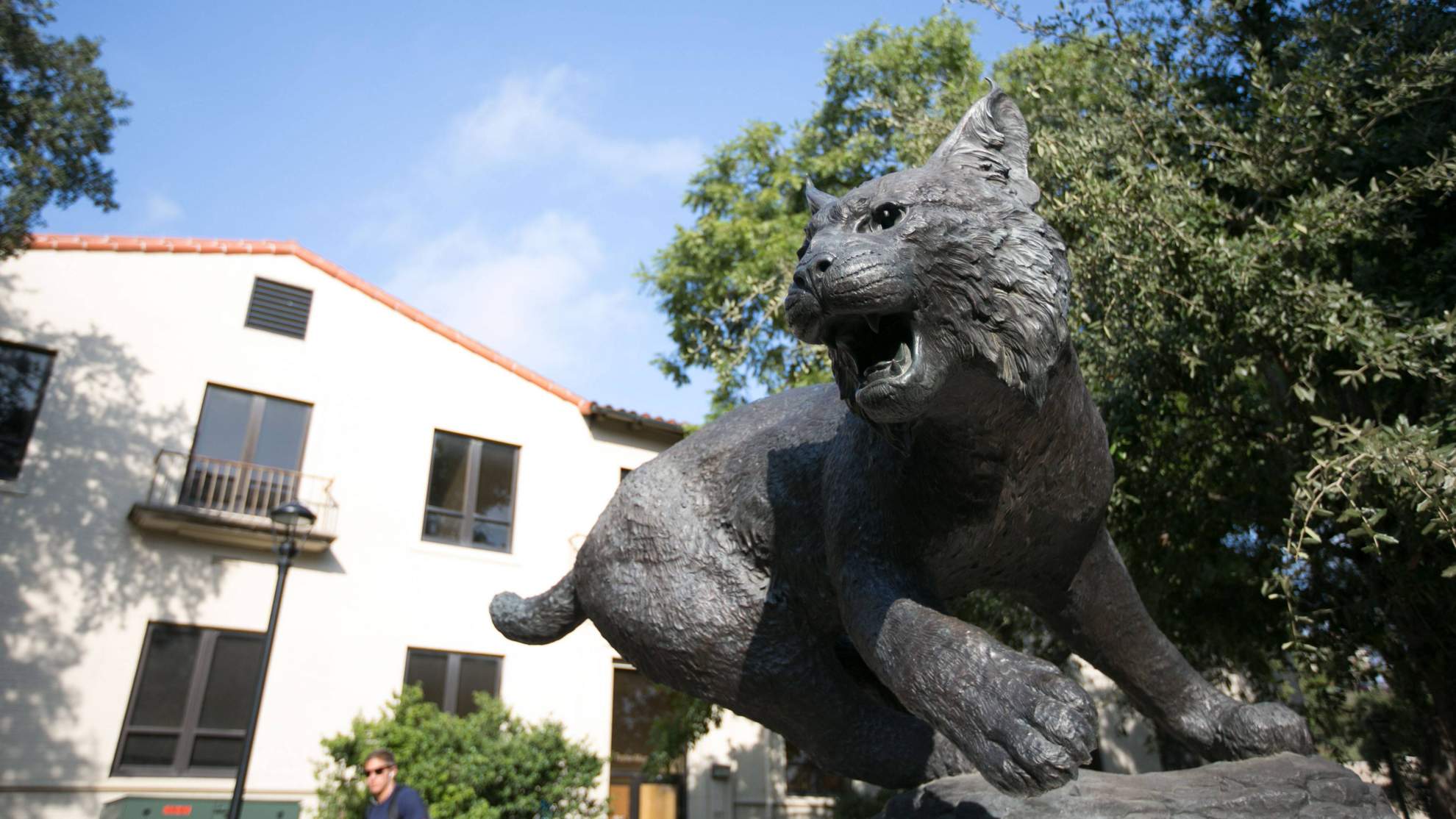 the bobcat statue in the middle of the quad