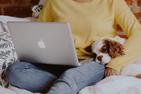 person with laptop and dog