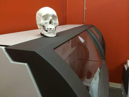 3D Printer with skull