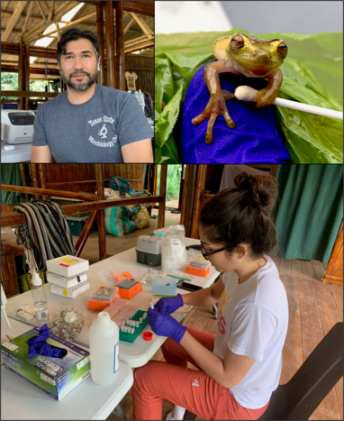 Dr. David Rodriguez, frog specimen, and student processing sample