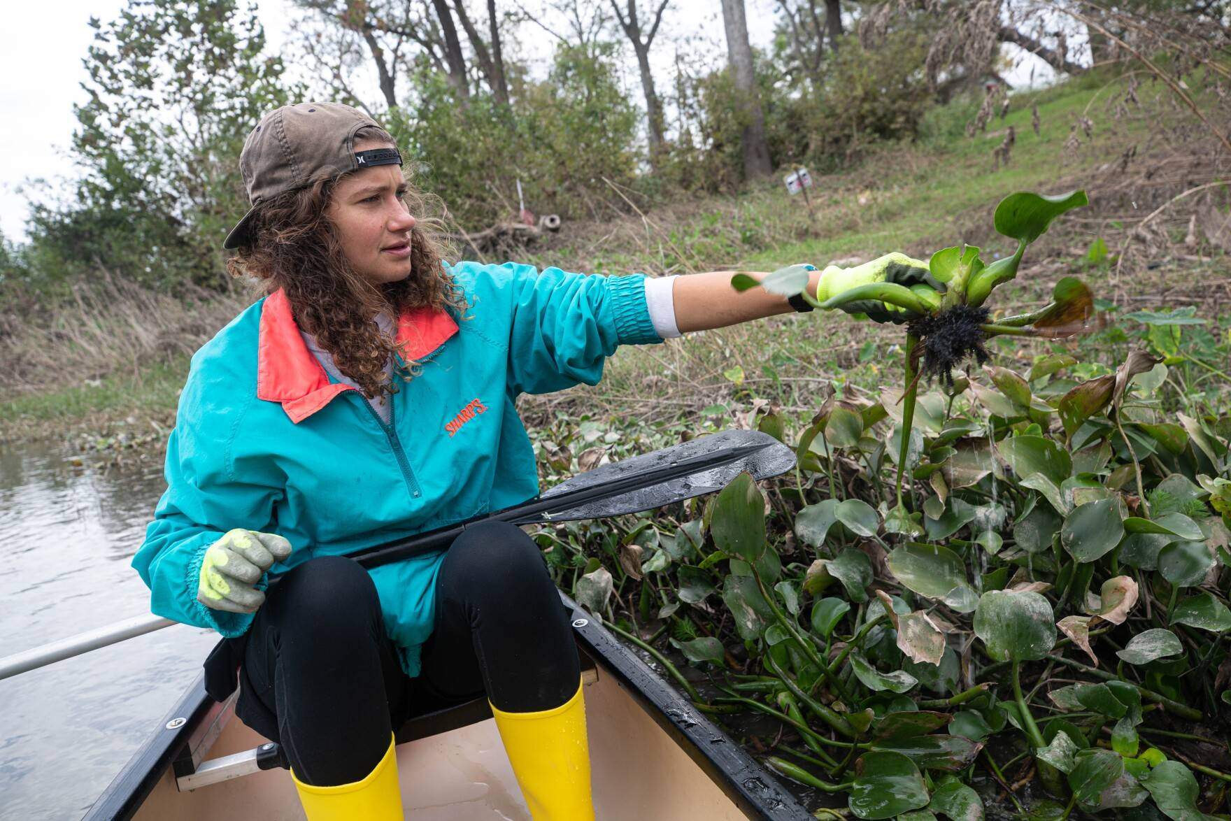 Wren Vogel holds a water hyacinth on the banks of the San Marcos River.