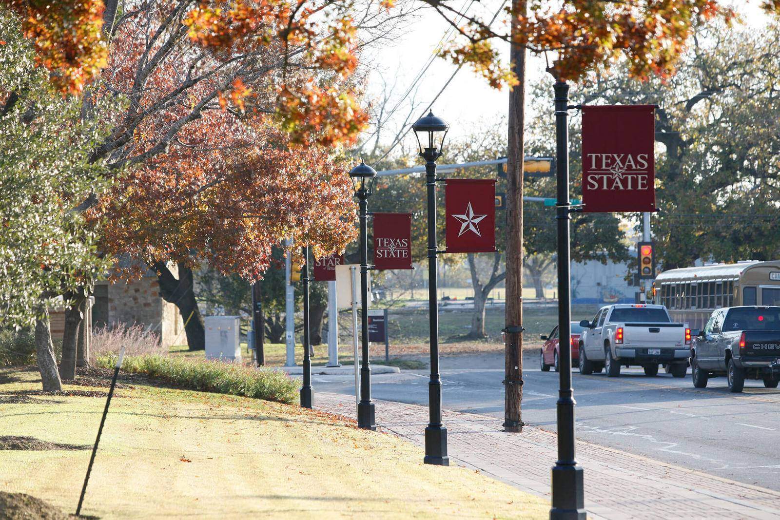 Flags with Texas State logo