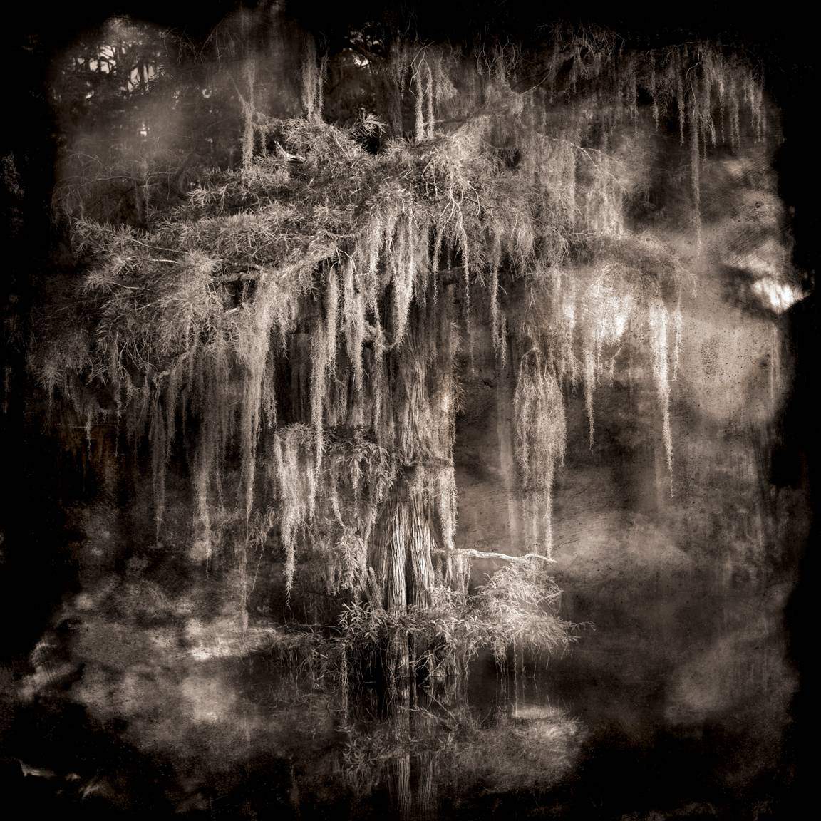 Phot called Ghostlight by Keith Carter