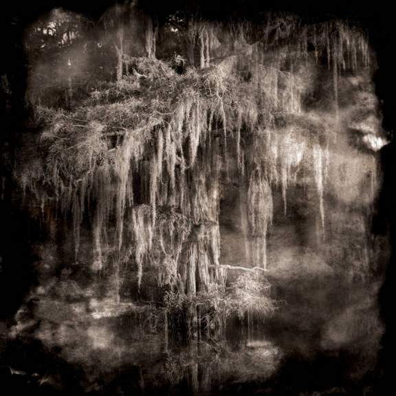 Ghostlight by Keith Carter 