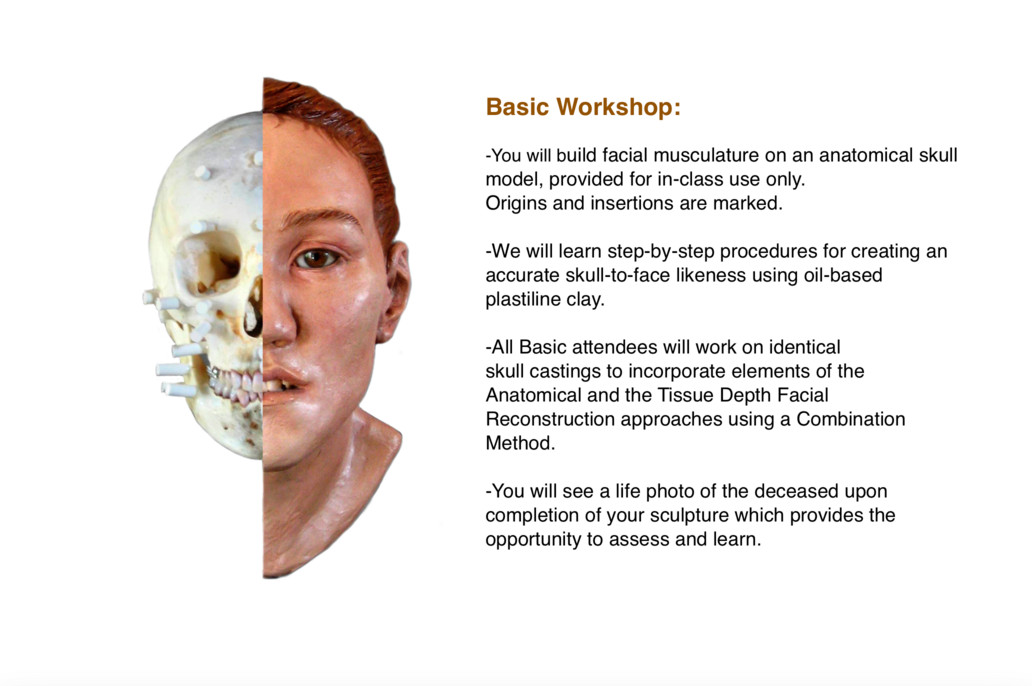 Karen T Taylor, Basic Facial Reconstruction Workshop