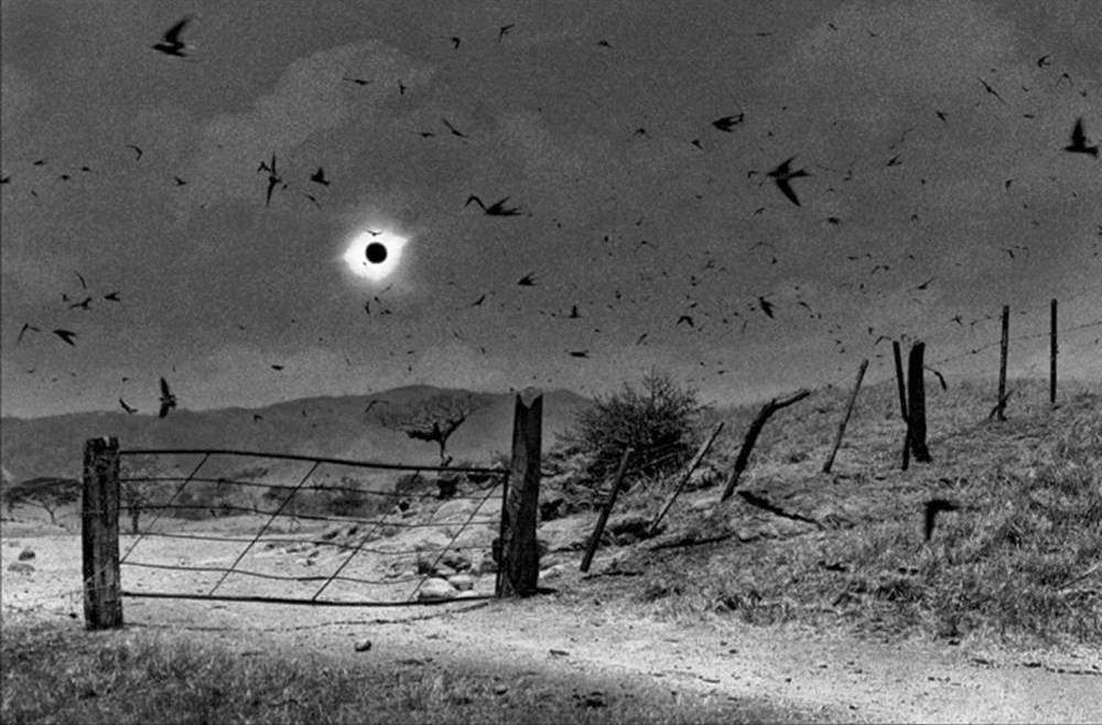 Photograph: Solar Eclipse, © 1991 by Antonio Turok