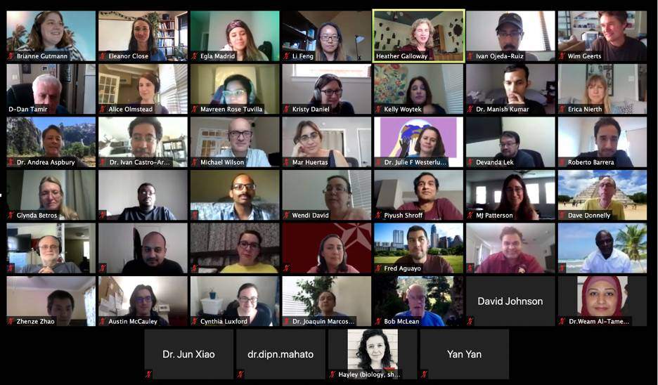 Virtual Summer Workshop Participant Screensho