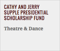 Cathy and Jerry Supple Presidential Scholarship Fund