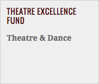 Theatre Excellence Fund