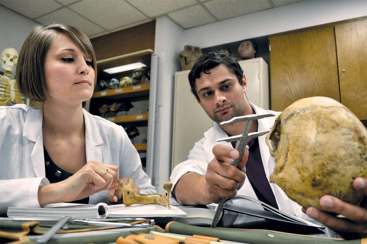 two anthropology students examine and measure and skull bone