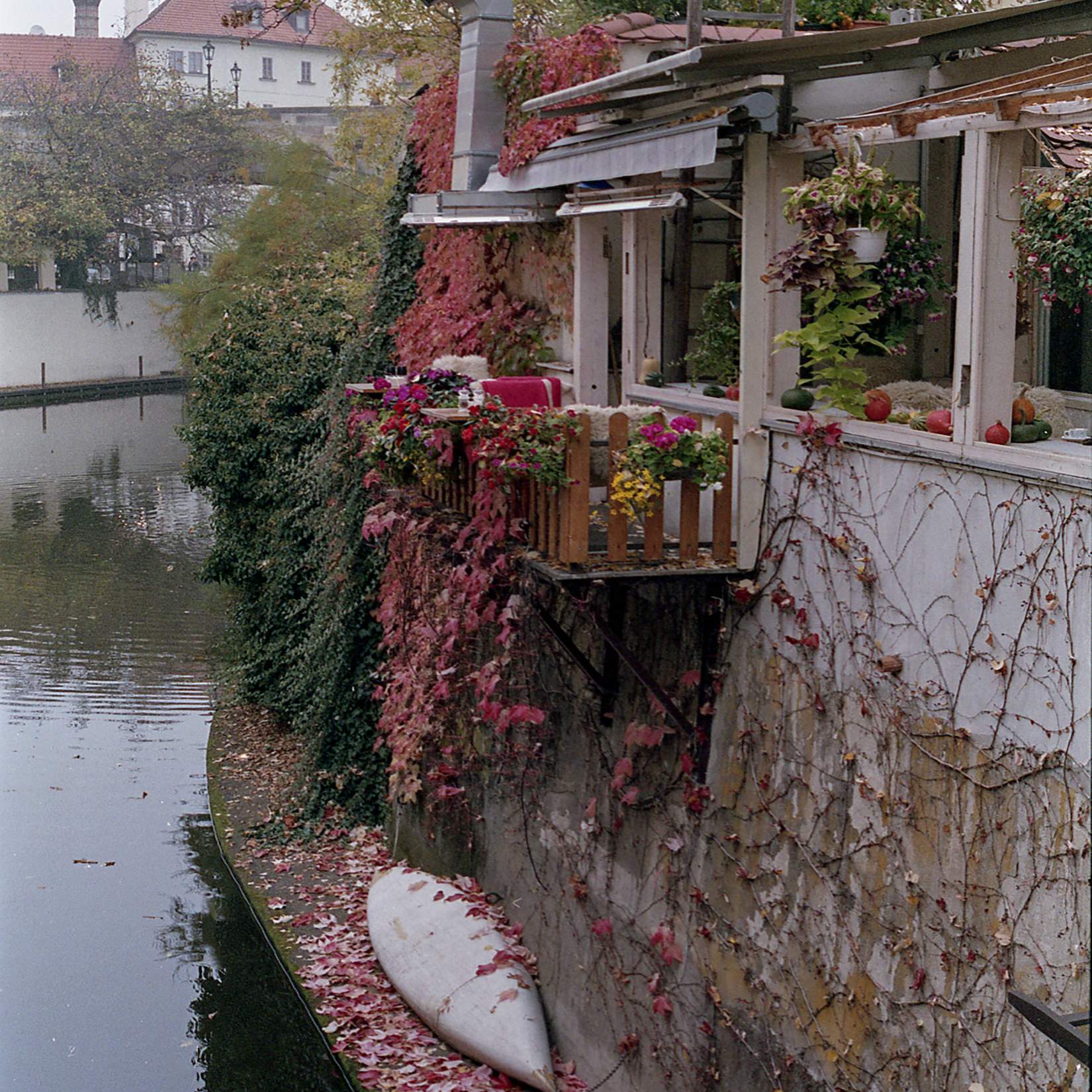 Photo of boats and flowers