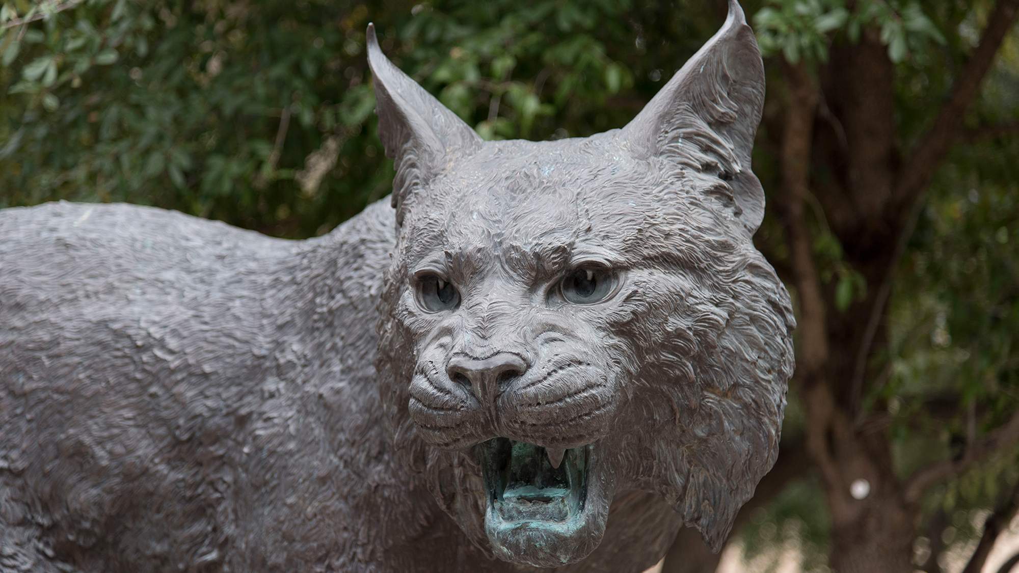 image of Bobcat statue