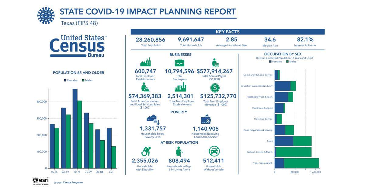 Picture of a COVID-19 Impact Planning Report published by the United States Census Bureau on April 23, 2020.