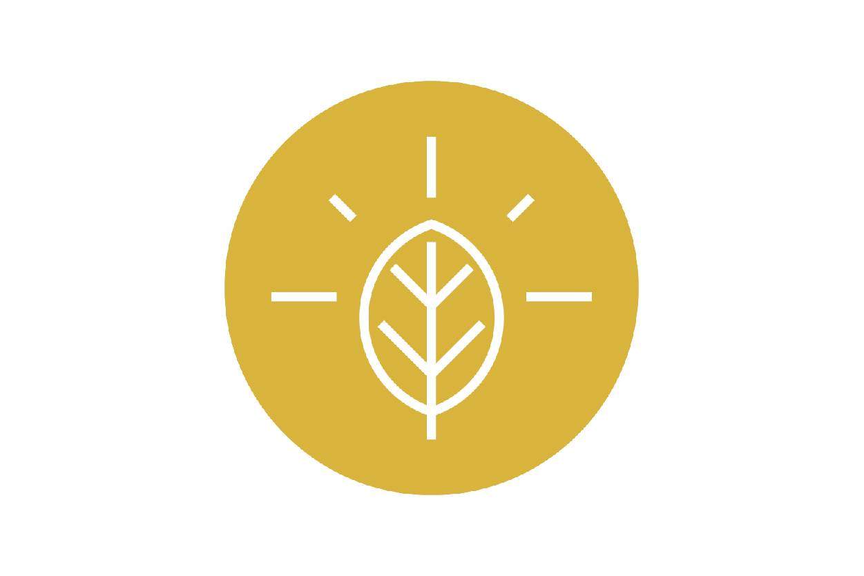 yellow environment icon, a leaf