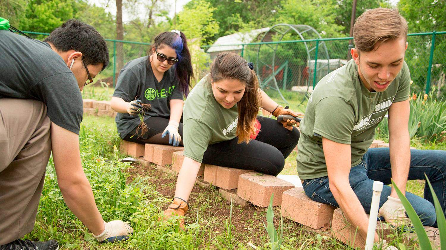 bobcat build volunteers gardening