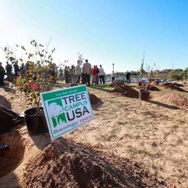 Photo of Tree Planting Ceremony 2