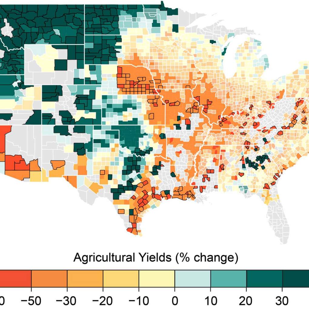 projected percent change in the yield of corn, wheat, soybeans, and cotton during the period 2080–2099