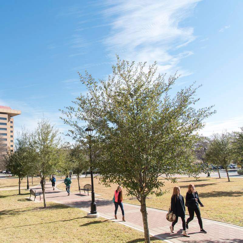 students walking on Texas State campus