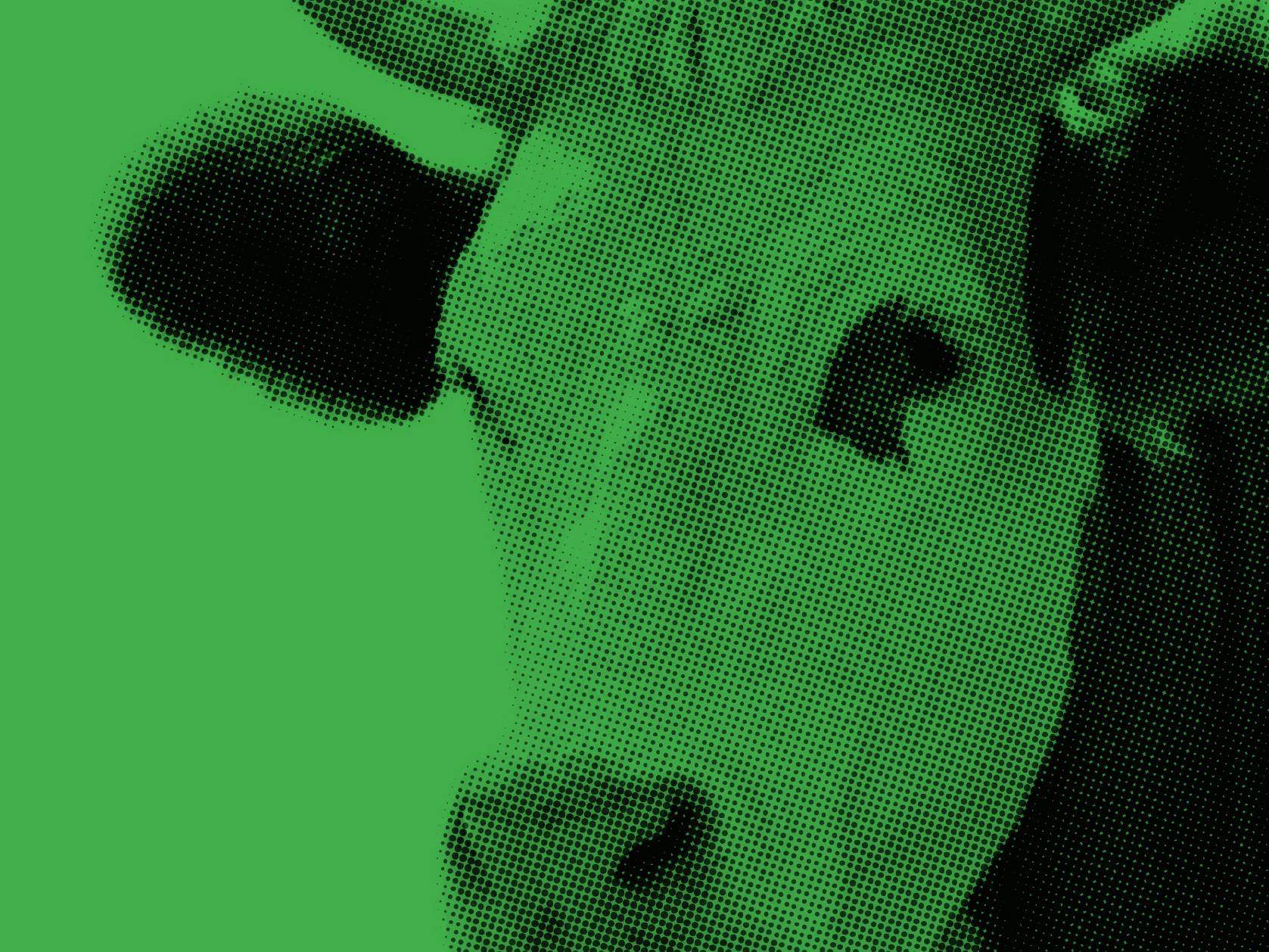 Close up image of a cow with green overlay