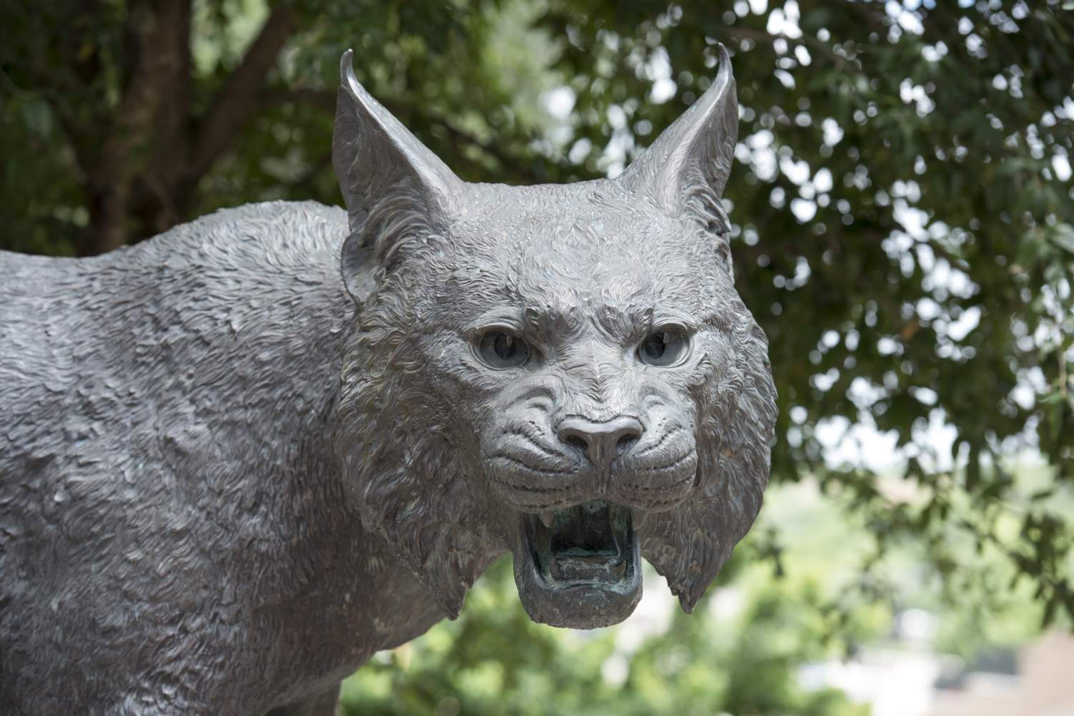 A photo of the Bobcat Statue