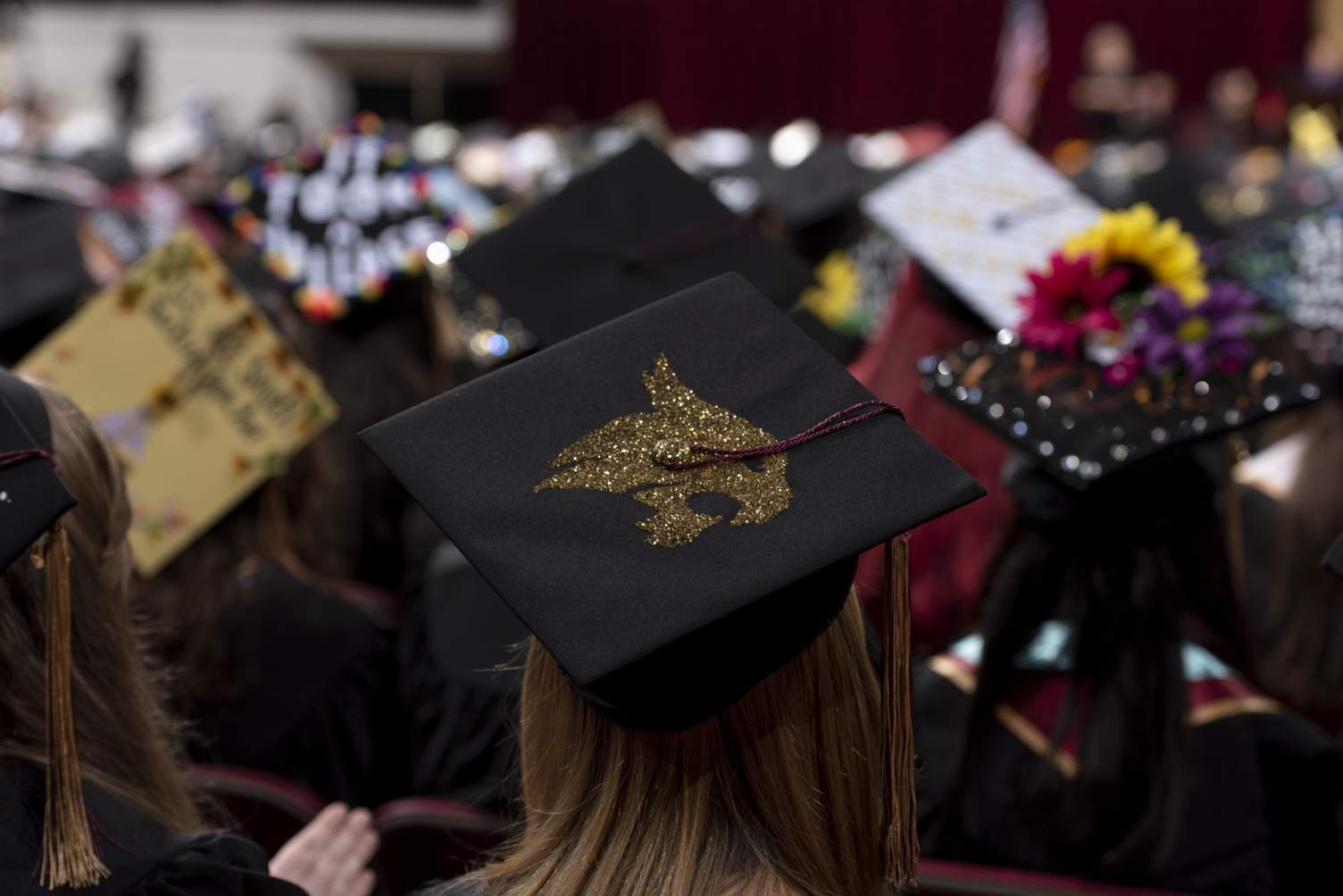 A glittery bobcat logo on top of a graduation cap.