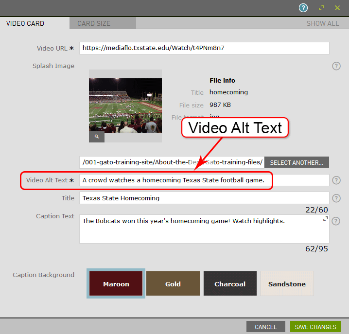 A screenshot shows the collage video card settings with the video alt text entered.