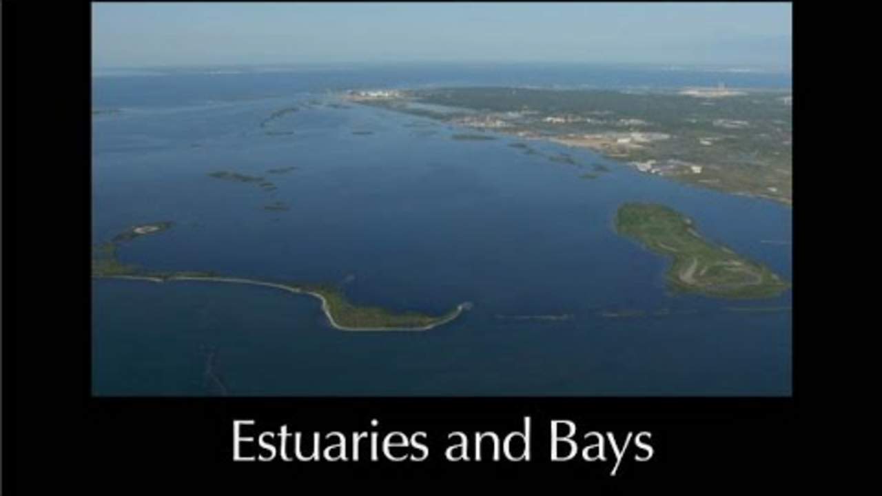 Bays and Estuaries – Lesson 11