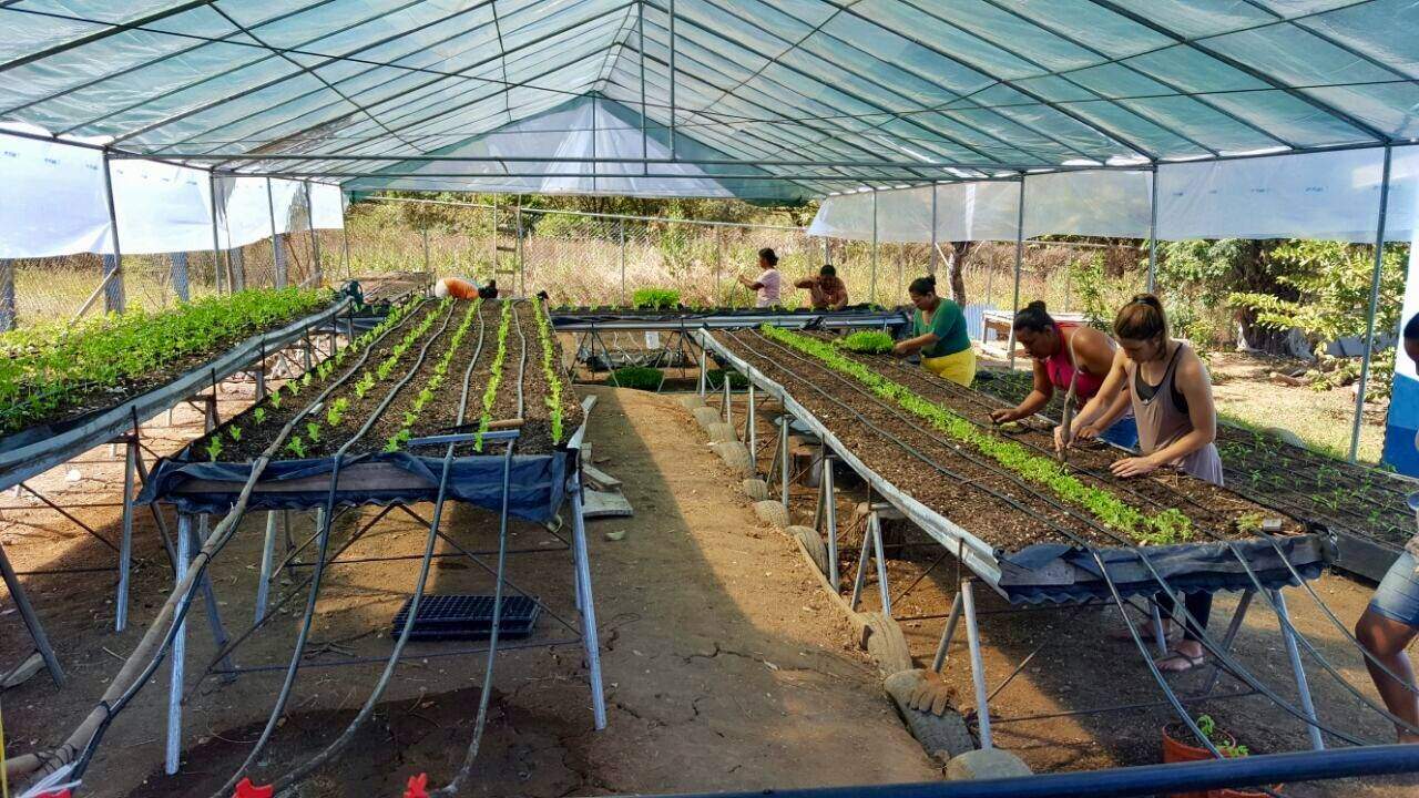Volunteers building a hydroponic garden in the Caribbean 