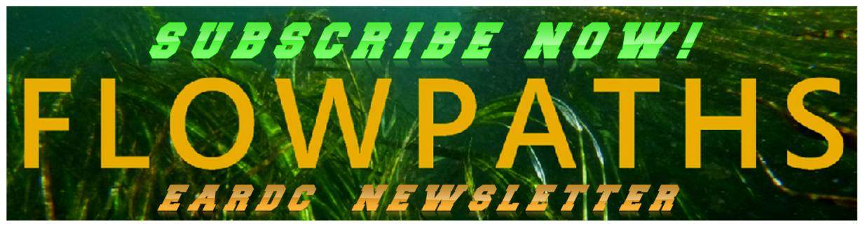NEWSLETTER SUBSCRIBE