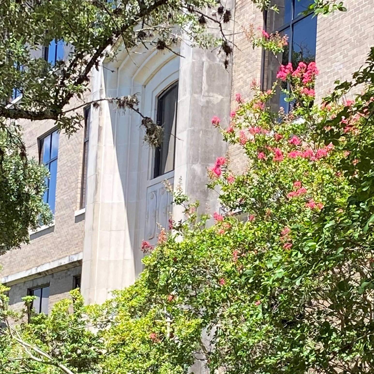 Image of the Comal building