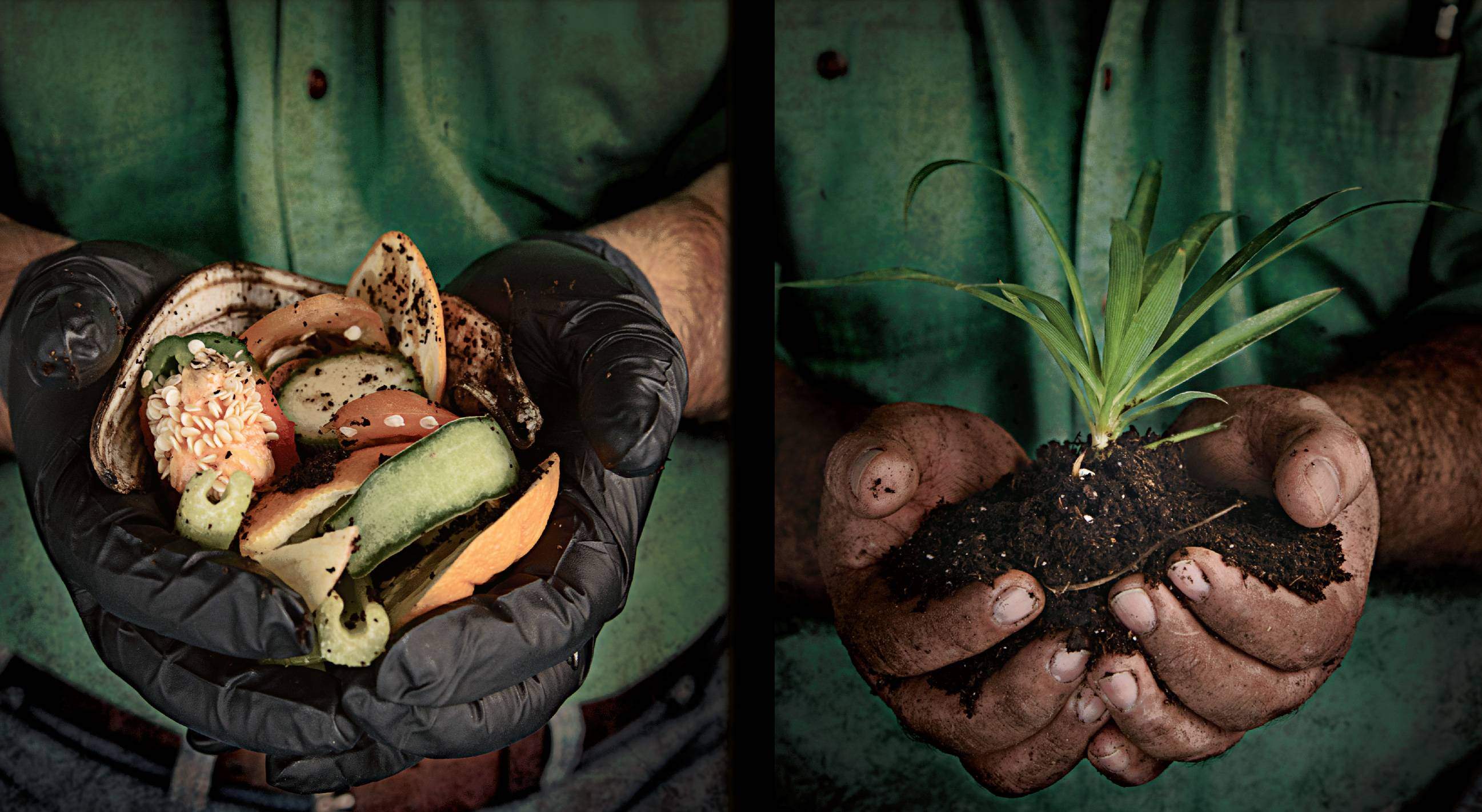 hands holding vegetable waste and hands holding composting dirt