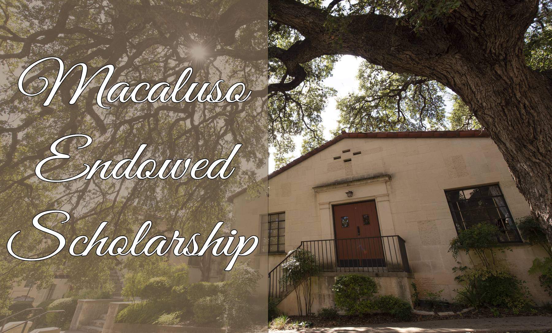 Macaluso Endowed Scholarship