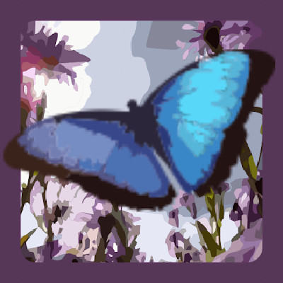 Square with purple outlines with a blue butterfly with black edges on wings. The butterfly is flying above purple flowers.