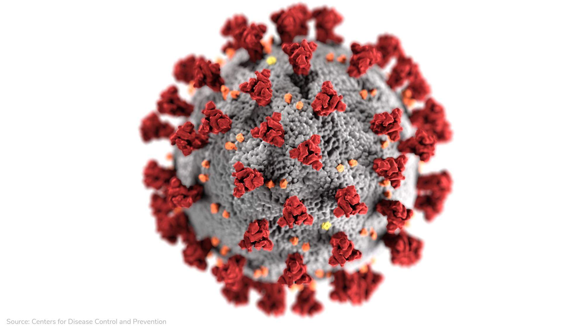 CDC illustration of coronavirus