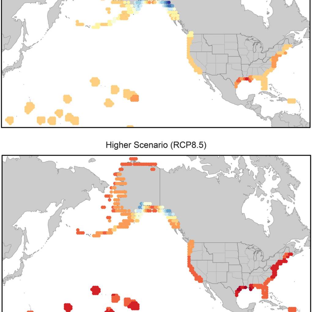 projections of change in relative sea level along the U.S. coast by 2100 (as compared to 2000)