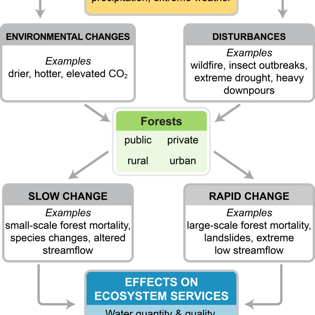 biophysical environment interactions with climate change 