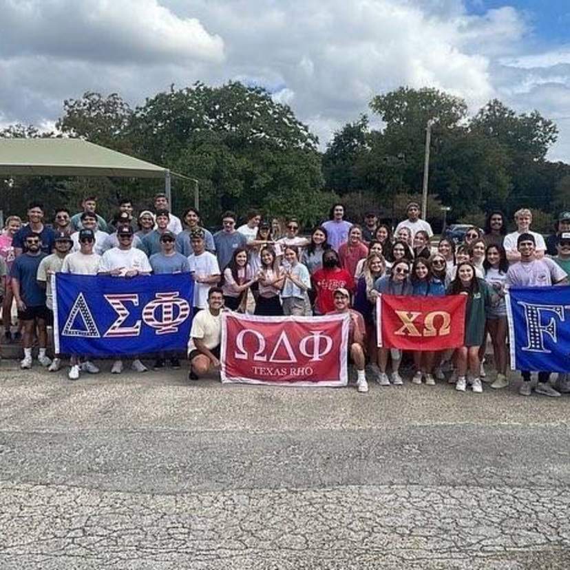 sorority and fraternity members with flags