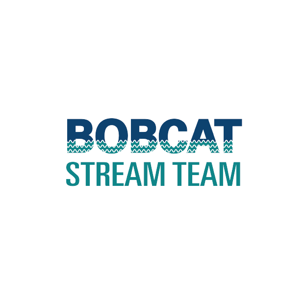 Bobcat Stream team