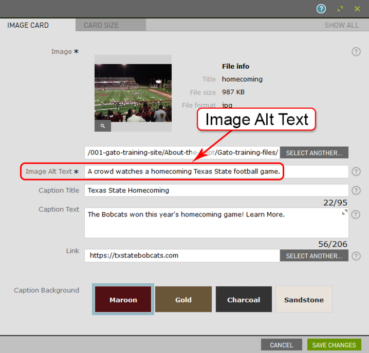 A screenshot shows the collage image card settings with the image alt text entered.