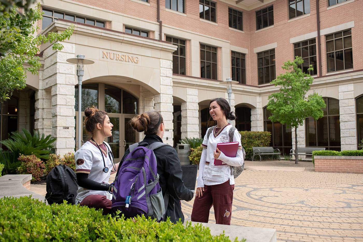 Group of students having a conversation in front of St. David's School of Nursing building.