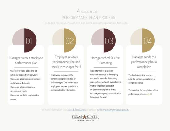 performance plan infographic