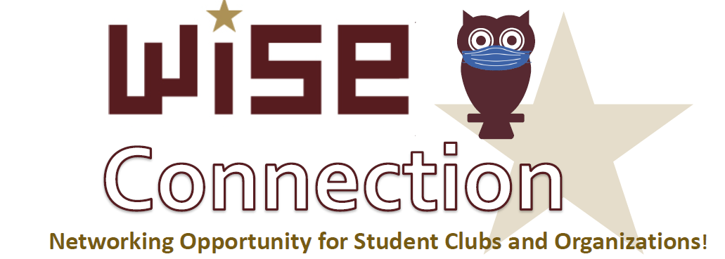 owl with mask and text that says wise connection. Networking opportunity for student clubs and organizations