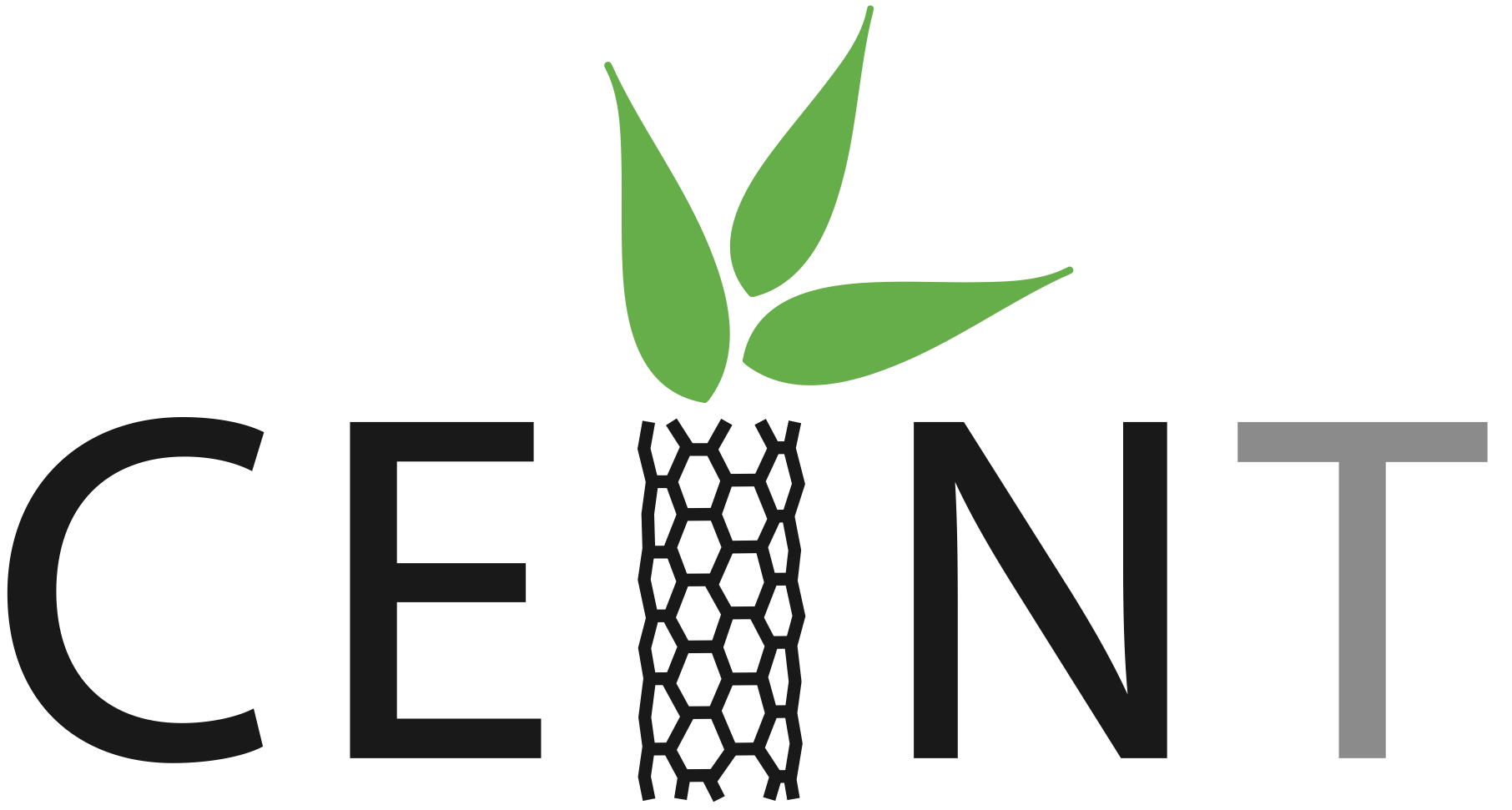 CEINT Logo