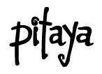 Pitaya Logo