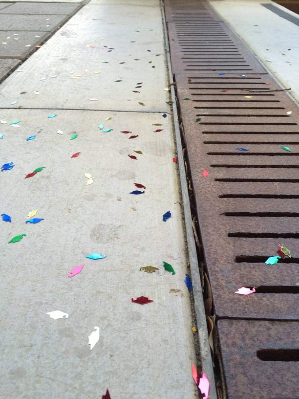 confetti on storm drain