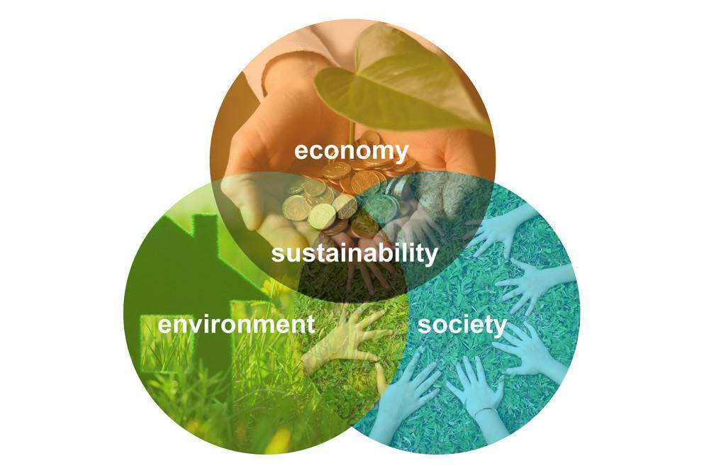 Sustainability studies chart